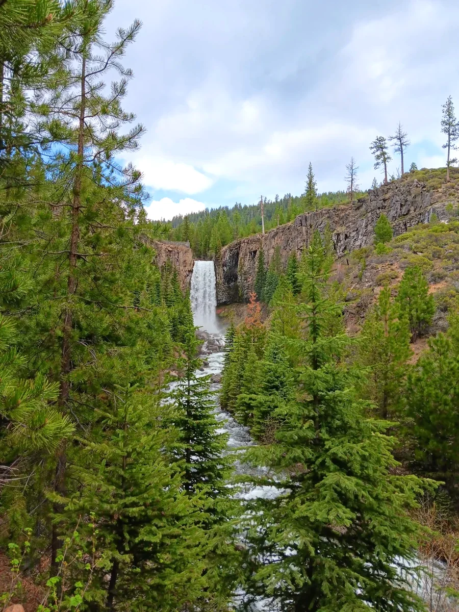 A waterfall dropping into a rushing river through a forested canyon
